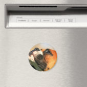 Aimant de boîte (In Situ (Lave-vaisselle))