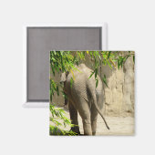 Aimant de botte d'éléphant (Recto/Verso)