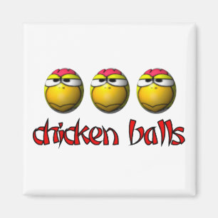 Aimant de boules de poulet