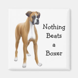 Aimant de boxeur