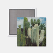 Aimant de cactus (Recto/Verso)