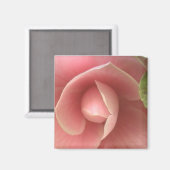 Aimant de Camellia rose (Recto/Verso)