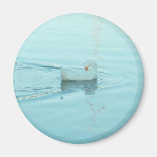 Aimant de canard blanc (Devant)