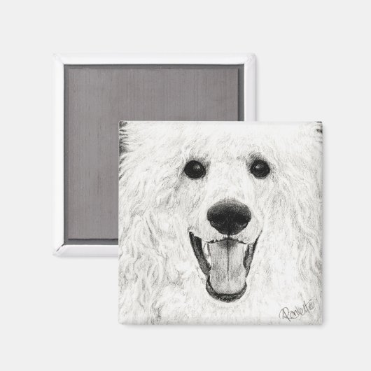 Aimant de caniche - "Jolly Boy" (Recto/Verso)