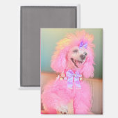 Aimant de caniche rose, cadeau de caniche rose (Recto/Verso)