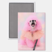Aimant de caniche rose, cadeau de caniche rose (Recto/Verso)