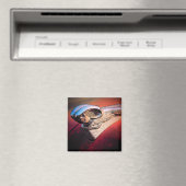 Aimant de capot de voiture (In Situ (Lave-vaisselle))