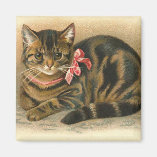 Aimant de carré "de chat tigré"