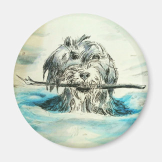 Aimant de cercle de natation de chien