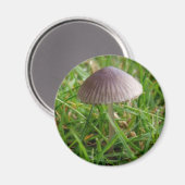 Aimant de champignon (Recto/Verso)