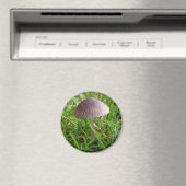 Aimant de champignon (In Situ (Lave-vaisselle))