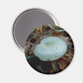 Aimant de champignon d'Aqua (Recto/Verso)