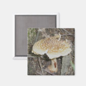 Aimant de champignons à points de polka (Recto/Verso)