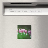 Aimant de charme rose (In Situ (Lave-vaisselle))