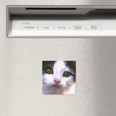 Aimant de chat (In Situ (Lave-vaisselle))