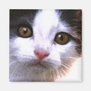 Aimant de chat