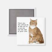 Aimant de chat (Recto/Verso)