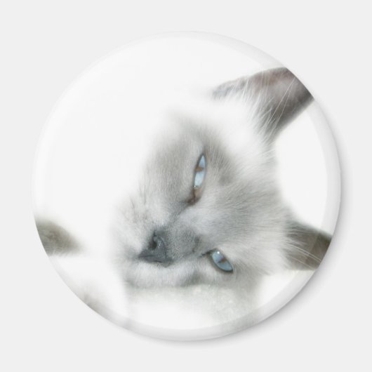 Aimant de chat (Devant)