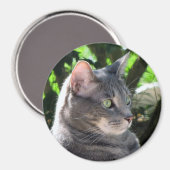 Aimant de chat (Recto/Verso)