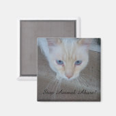 Aimant de chat (Recto/Verso)