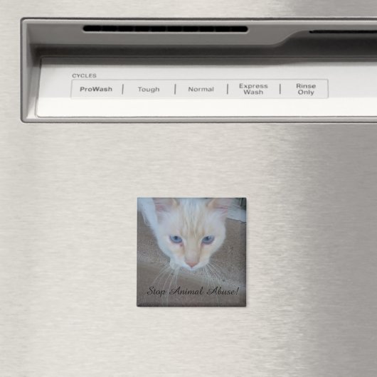 Aimant de chat (In Situ (Lave-vaisselle))