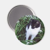 Aimant de chat (Recto/Verso)