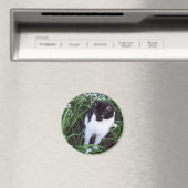 Aimant de chat (In Situ (Lave-vaisselle))