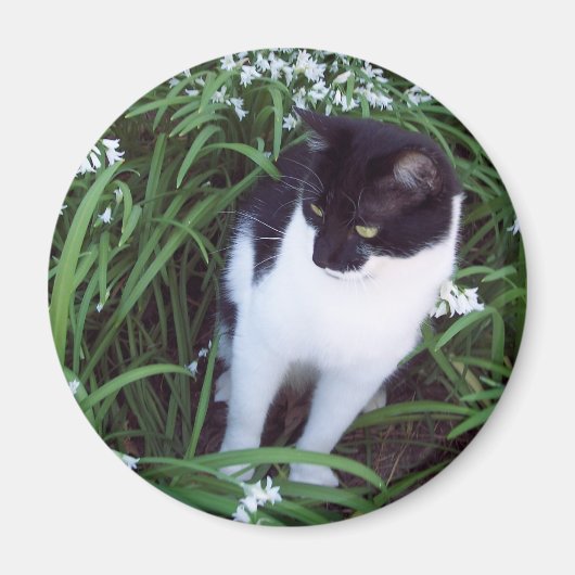 Aimant de chat (Devant)