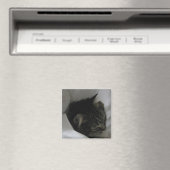 Aimant de chat (In Situ (Lave-vaisselle))