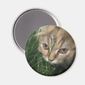 Aimant de chat (Recto/Verso)