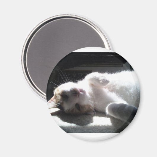 aimant de chat (Recto/Verso)