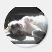 aimant de chat (Devant)