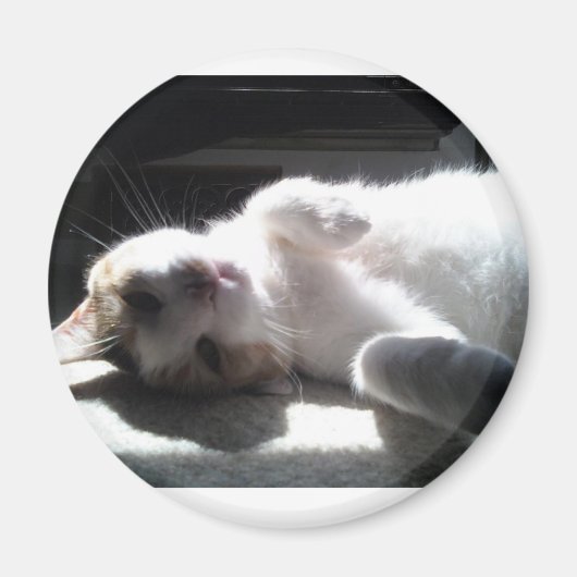 aimant de chat (Devant)