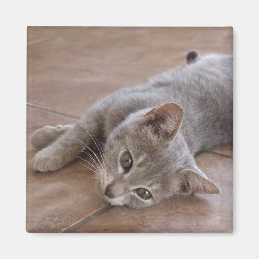 Aimant de chat (Devant)