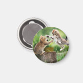 aimant de chat (Recto/Verso)