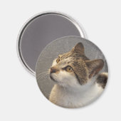 Aimant de chat (Recto/Verso)