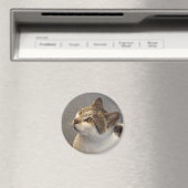Aimant de chat (In Situ (Lave-vaisselle))