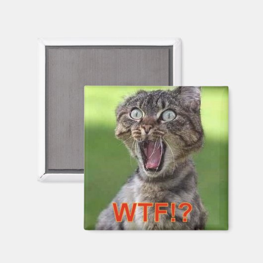 Aimant de chat (Recto/Verso)