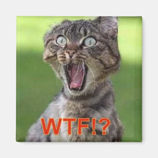 Aimant de chat (Devant)