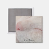 Aimant de chat (Recto/Verso)