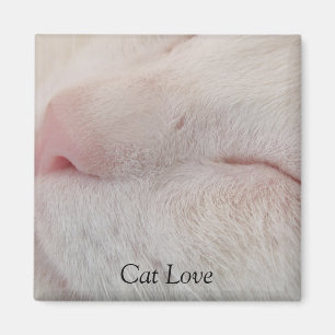 Aimant de chat