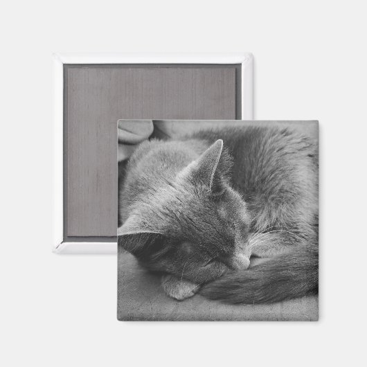 Aimant de chat couché (Recto/Verso)