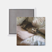 Aimant de chat coussin (Recto/Verso)