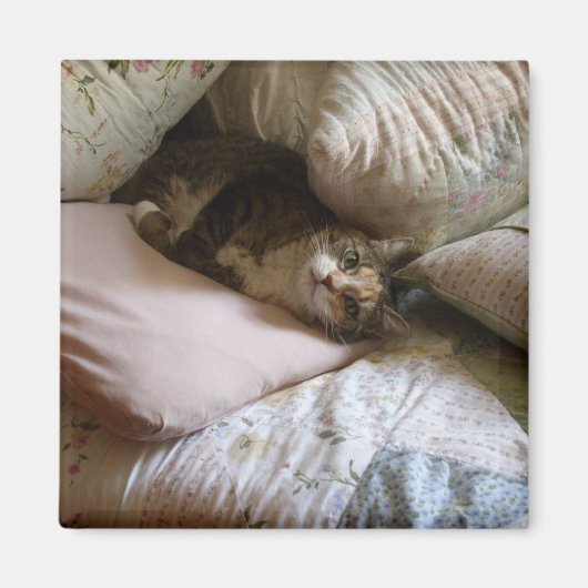 Aimant de chat coussin (Devant)