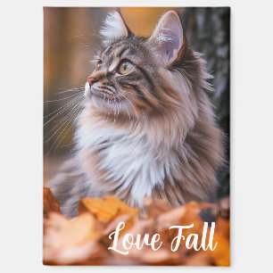 Aimant de chat d'automne