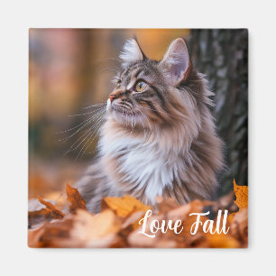 Aimant de chat d'automne
