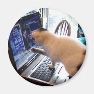 Aimant de chat de Cumputer