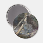 aimant de chat de pêche (Recto/Verso)