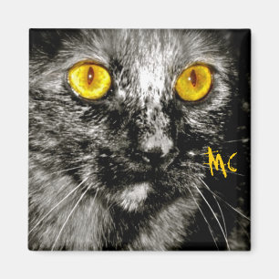 Aimant de chat de singe