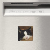 Aimant de chat de Tuxedo (In Situ (Lave-vaisselle))